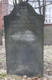 picture 04309-1-1-AF-apr2011.JPG