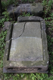 picture 04357-1-1-AF-apr2011.JPG