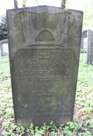 picture 04379-1-1-AF-apr2011.JPG