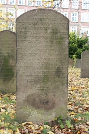 picture 04387-1-1-JP-nov2010.JPG