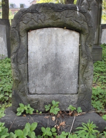 picture 04439-1-1-AF-apr2011.JPG