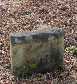 picture 04450-1-2-AF-apr2011.JPG