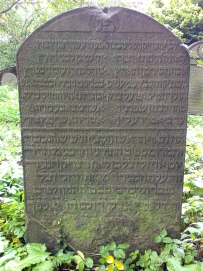 picture 04462-1-1-AF-sep2010.jpg