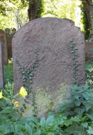 picture 04462-1-2-AF-okt2010.JPG