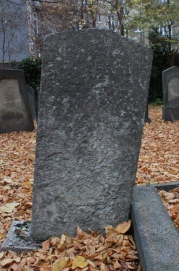 picture 04477-1-1-AF-nov2011.JPG