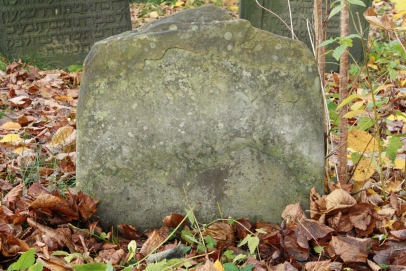 picture 04515-1-1-JP-nov2010.JPG