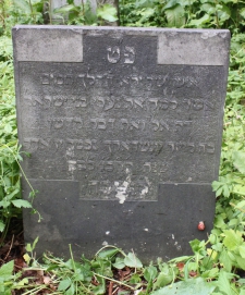 picture 04564-1-1-AF-jun2011.JPG