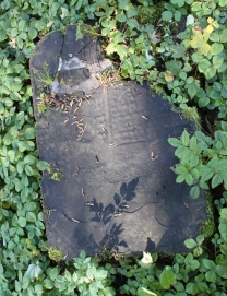 picture 04583-1-1-AF-okt2010.JPG