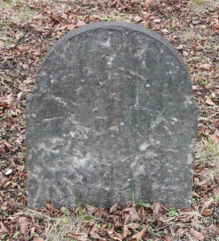 picture 04599-1-2-AF-apr2011.JPG