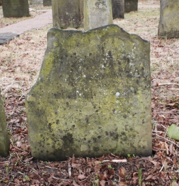 picture 04601-1-1-AF-apr2011.JPG